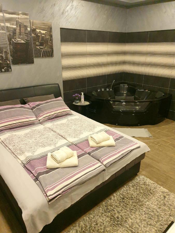 Ceca Apartman Nis Room photo